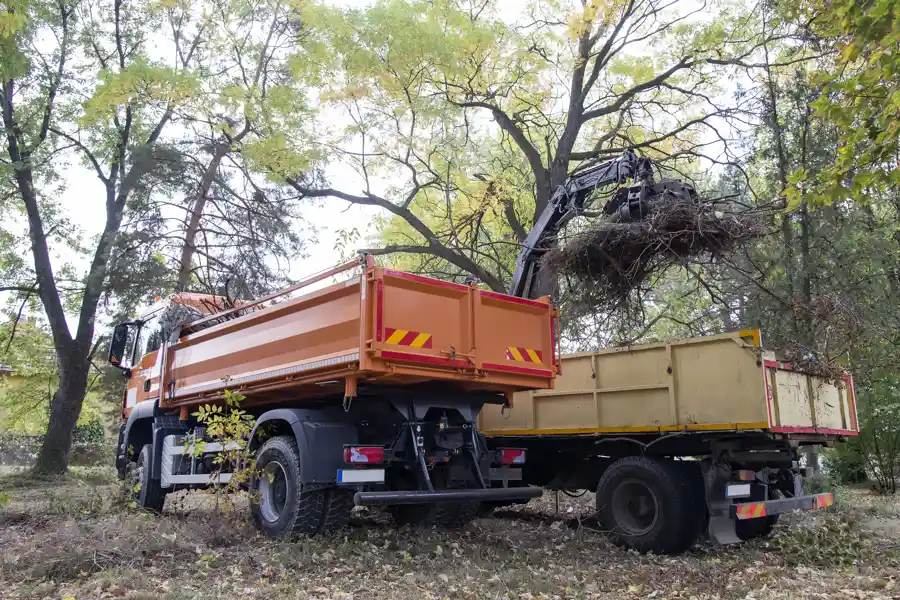What Does Hauling Mean in New Hamburg, ON What Does Hauling Mean in New Hamburg, ON